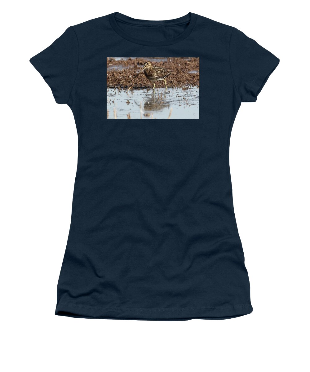 Snipe Women's T-Shirt featuring the photograph Common Snipe by Robert Harris