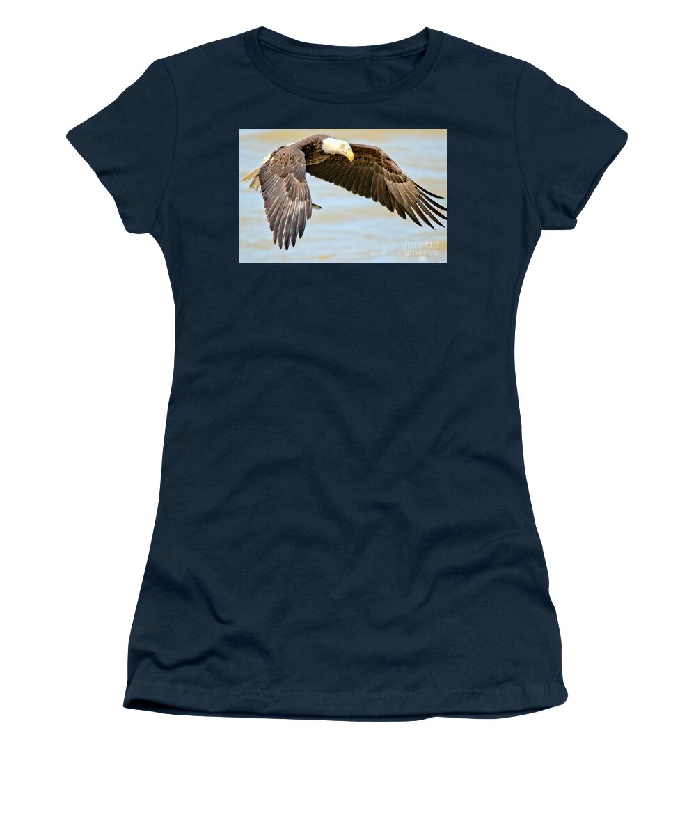 Conowingo Women's T-Shirt featuring the photograph Conowingo Dam Eagle Hovering Crop by Adam Jewell