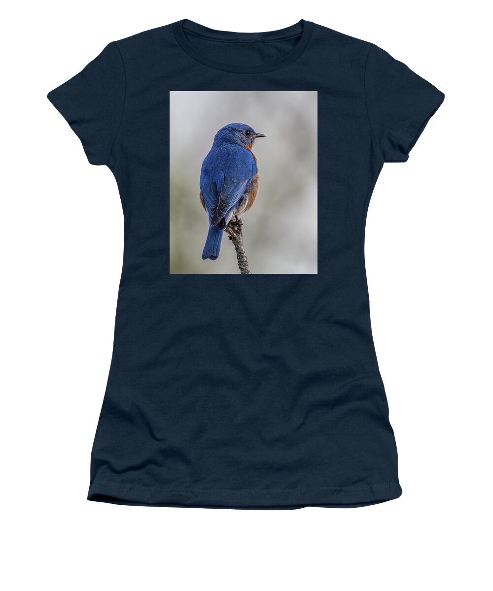 Blue Women's T-Shirt featuring the photograph Contemplating Bluebird by Brian Shoemaker