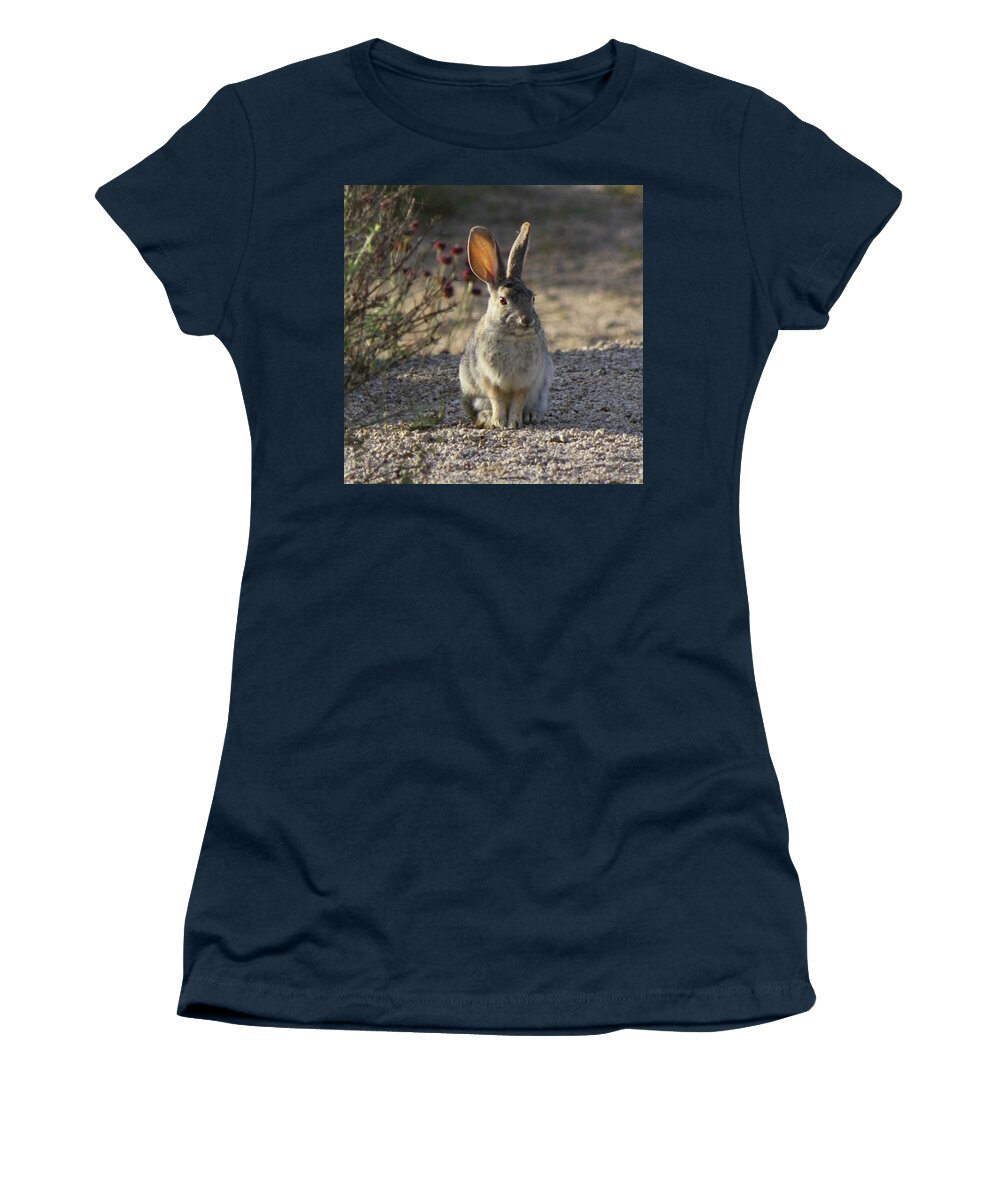Cottontail Women's T-Shirt featuring the photograph Cottontail by Perry Hoffman