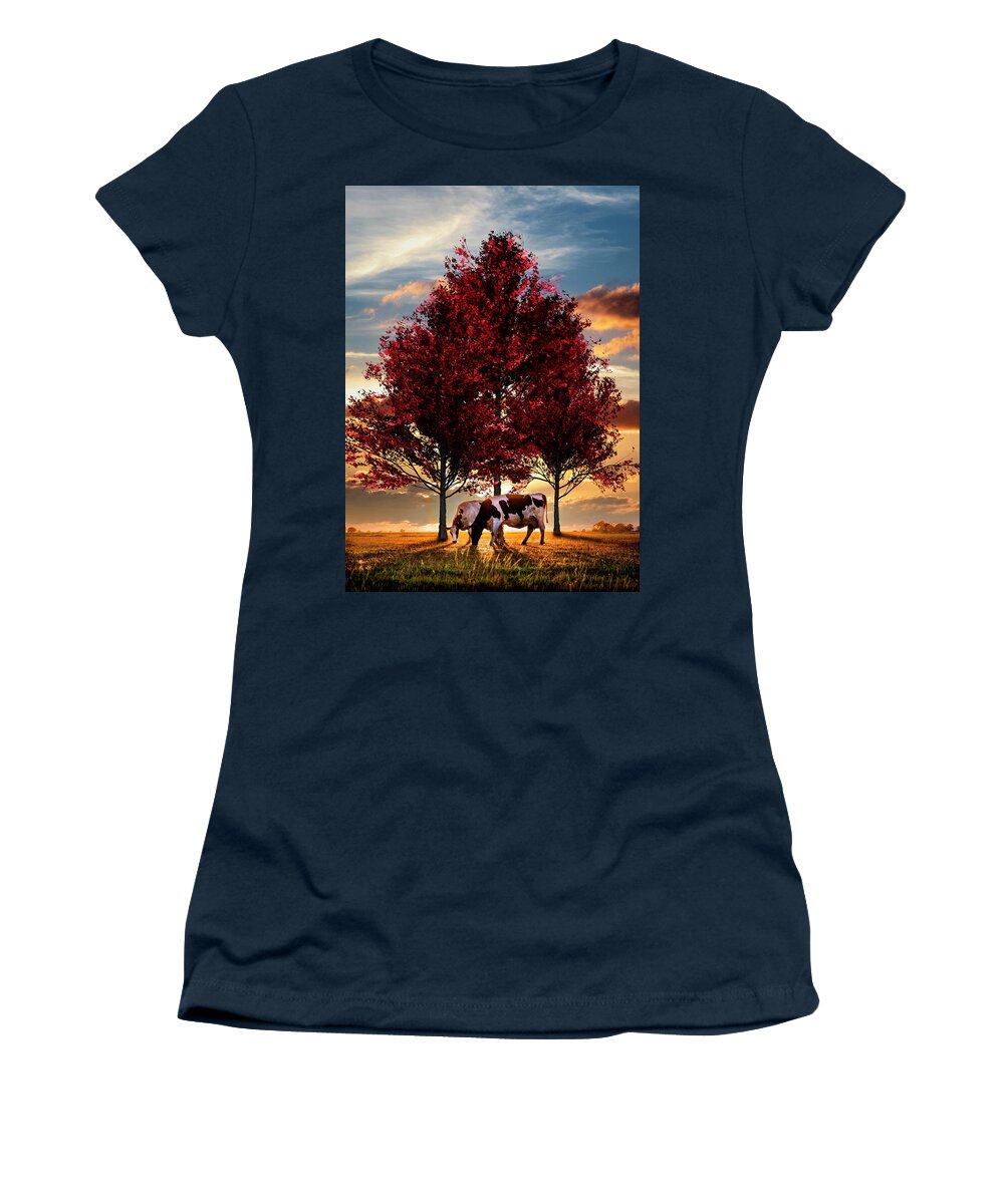 Animals Women's T-Shirt featuring the photograph Cows in Sunset Light Under the Trees by Debra and Dave Vanderlaan