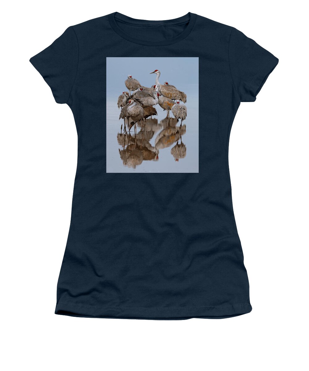Sandhill Cranes Women's T-Shirt featuring the photograph Crane Stack by Mary Hone
