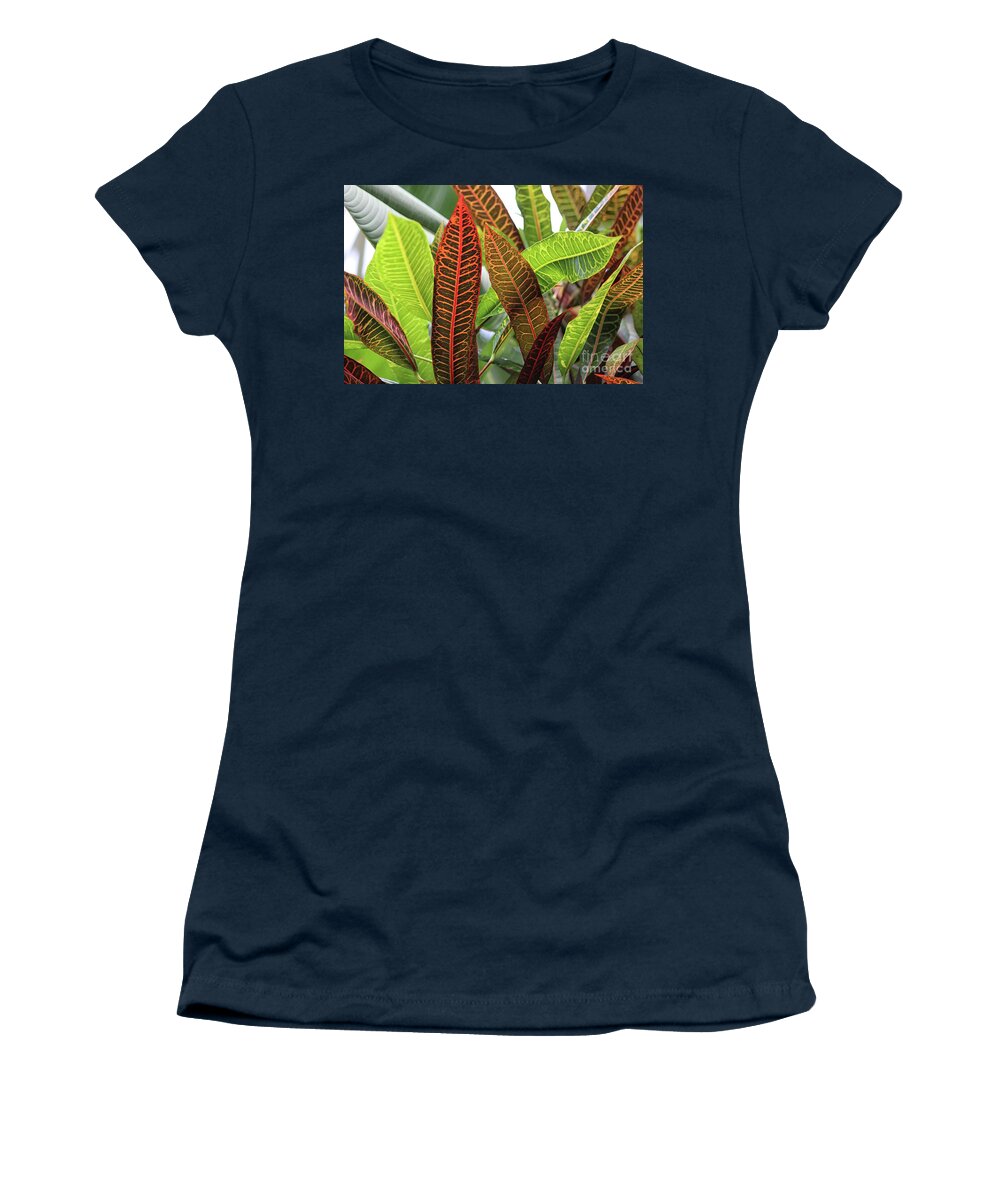 Plant Women's T-Shirt featuring the photograph Crowd of Crotons by Karen Adams