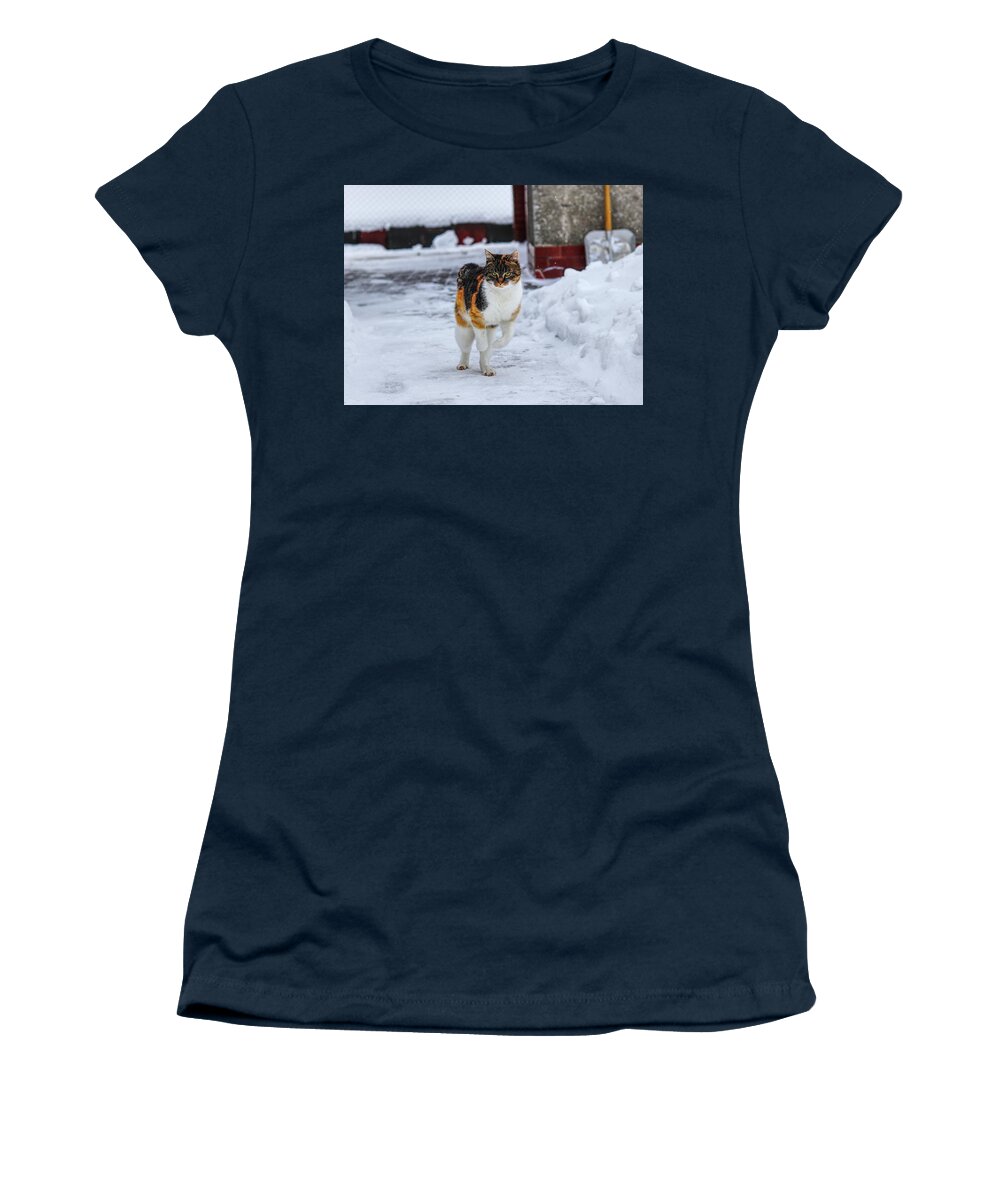 Liza Women's T-Shirt featuring the photograph Cat's jump in winter by Vaclav Sonnek