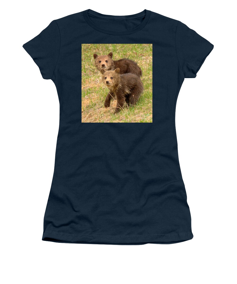 Grizzly Women's T-Shirt featuring the photograph Cute Grizzly Bear Duo Closeup by Adam Jewell