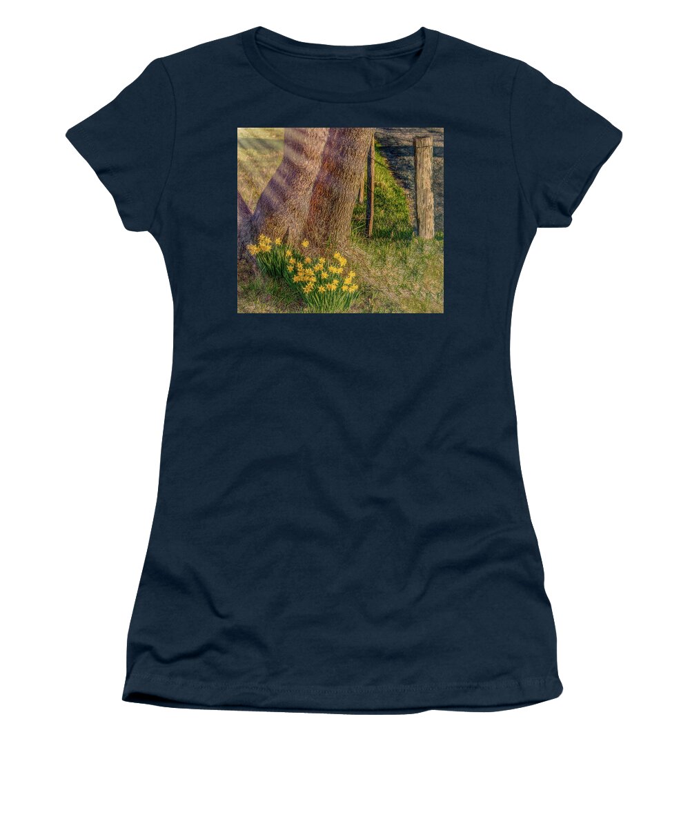 Daffodils Women's T-Shirt featuring the photograph Daffodils By The Fence by Marcy Wielfaert