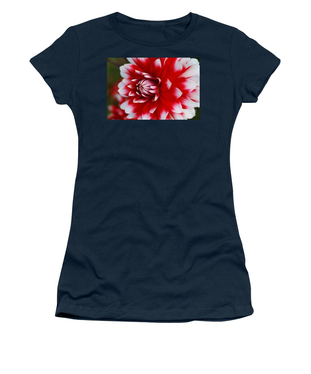Fire And Ice Women's T-Shirt featuring the photograph Dahlia Rich Red and White by Joy Watson