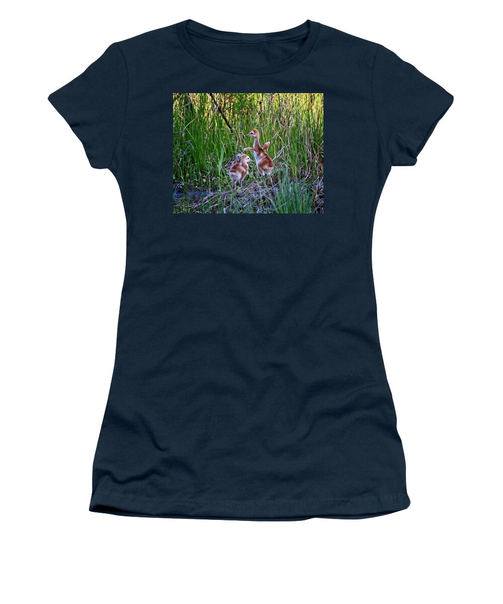 Animal Women's T-Shirt featuring the photograph Dancing Sandhill Crane Colts by Ronald Lutz