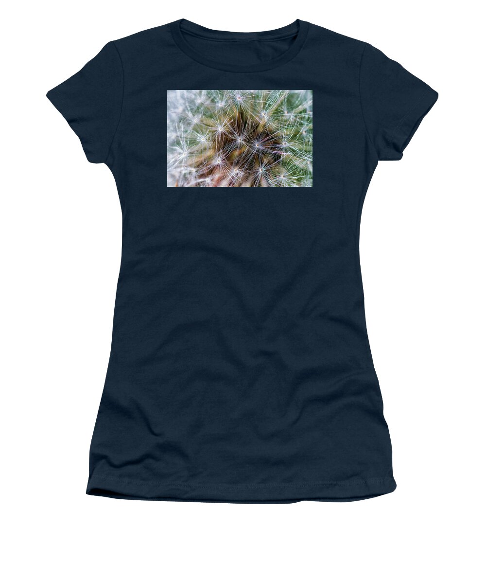 Dandelion Women's T-Shirt featuring the photograph Dandelion Fluff 2 by Bob Decker