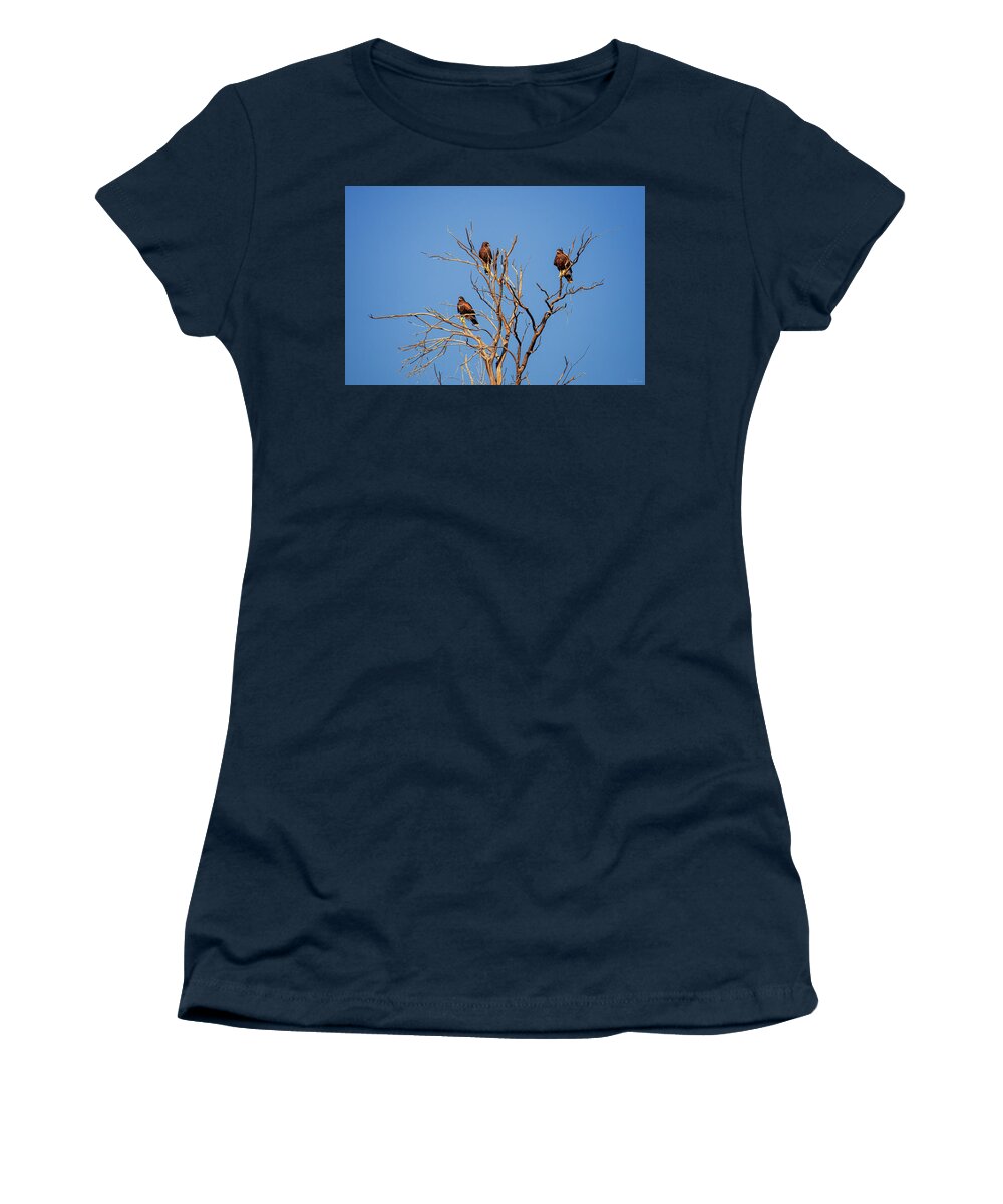 Arboretum Women's T-Shirt featuring the photograph Dinnertime by Rick Furmanek