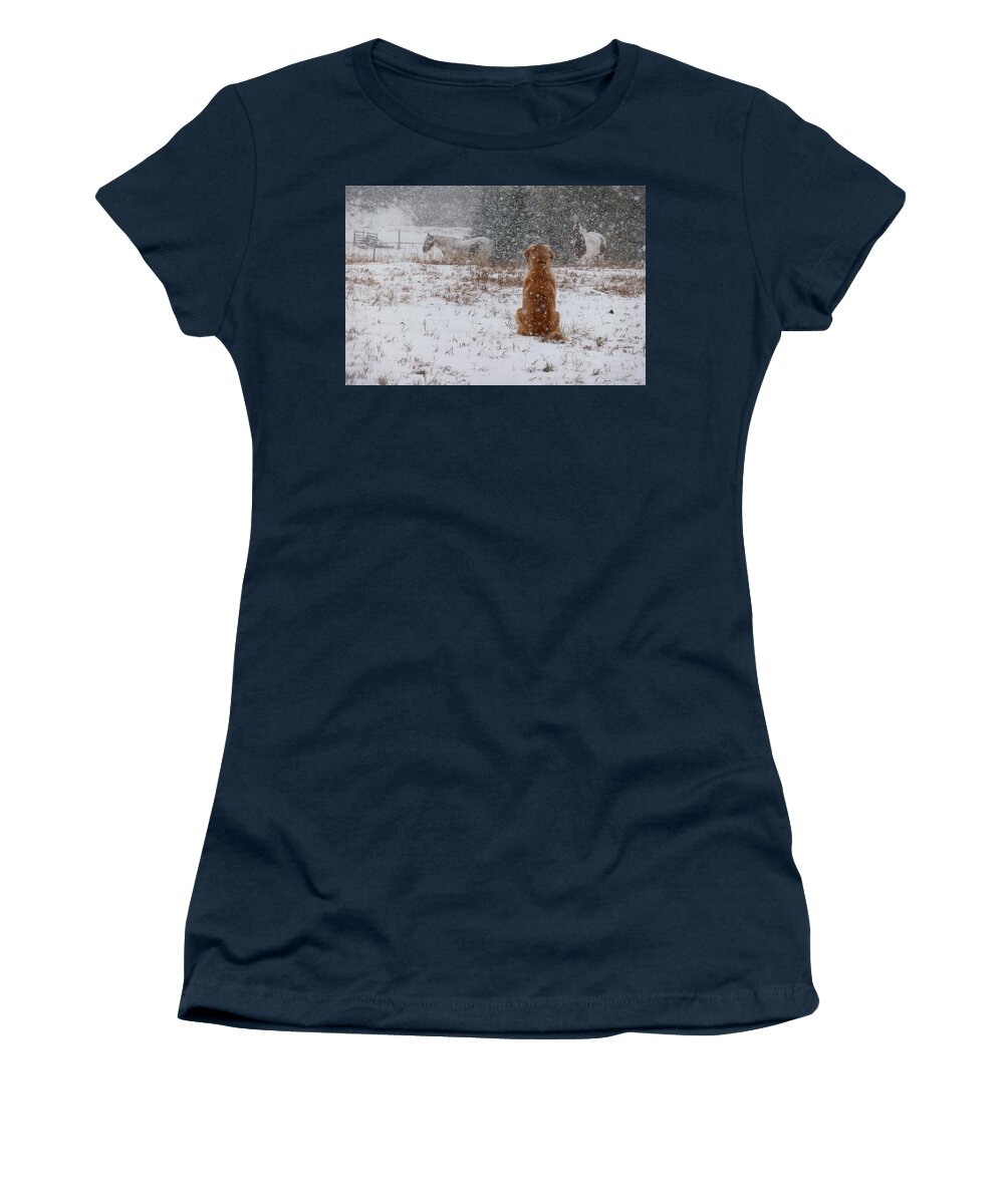 Snow Women's T-Shirt featuring the photograph Dog And Horses In The Snow by Phil And Karen Rispin
