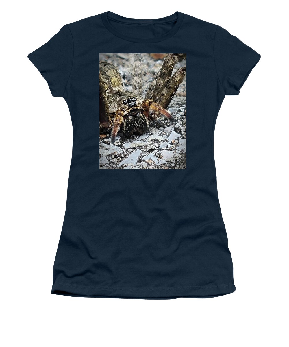 Fishing Spider Women's T-Shirt featuring the photograph Dolomedes Tenebrosus by Ally White