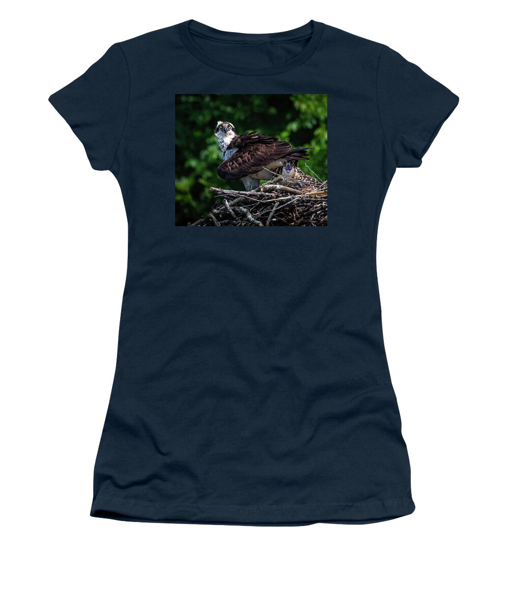 Osprey Women's T-Shirt featuring the photograph Don't Even Think of It by John Roach