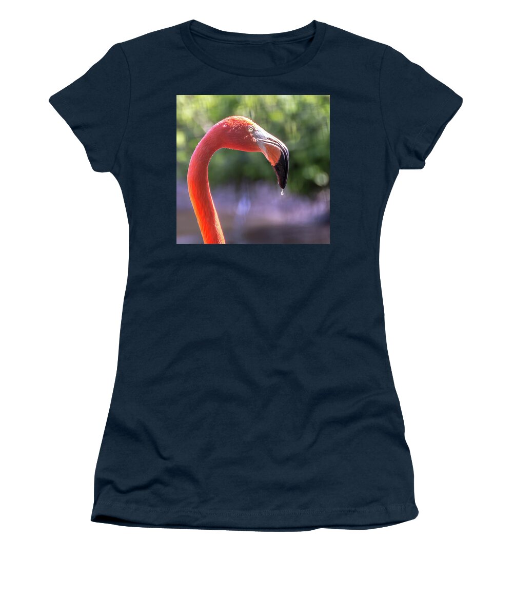 Zoo Women's T-Shirt featuring the photograph Dripping flamingo by Robert Miller
