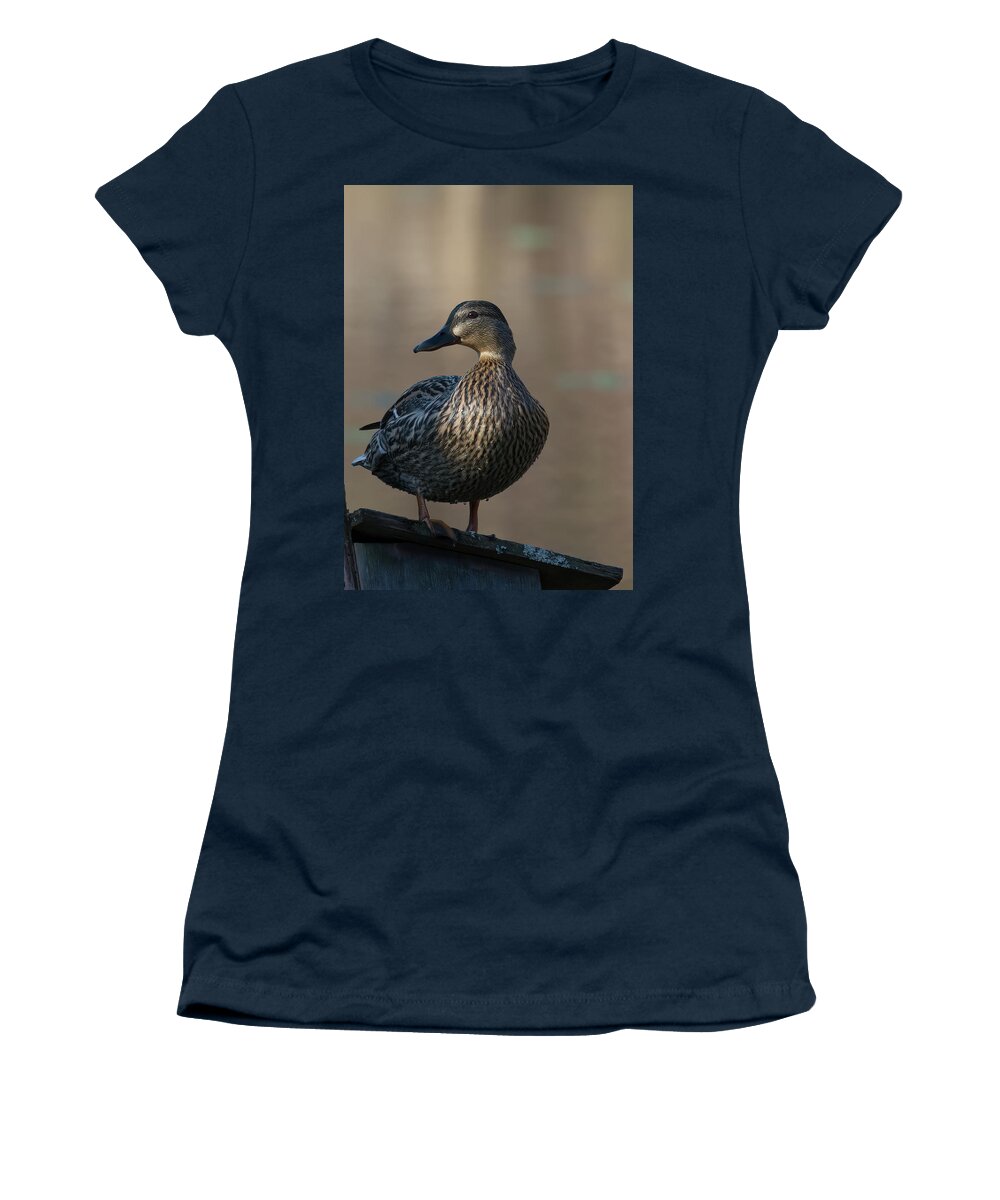 Bird Women's T-Shirt featuring the photograph Duck by Paul Ross