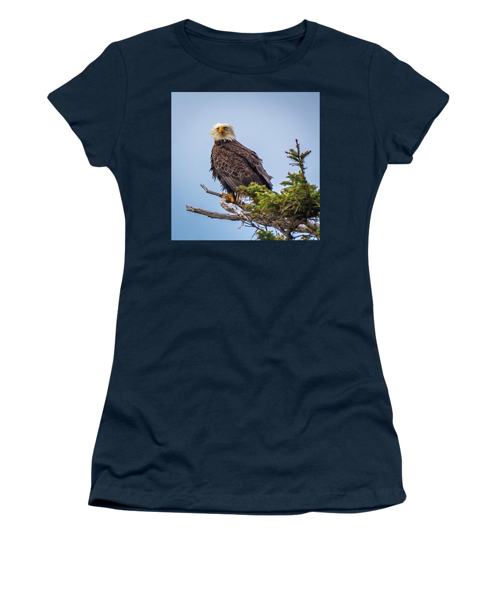 Eagle Women's T-Shirt featuring the photograph Eagle on Guard by Erin K Images