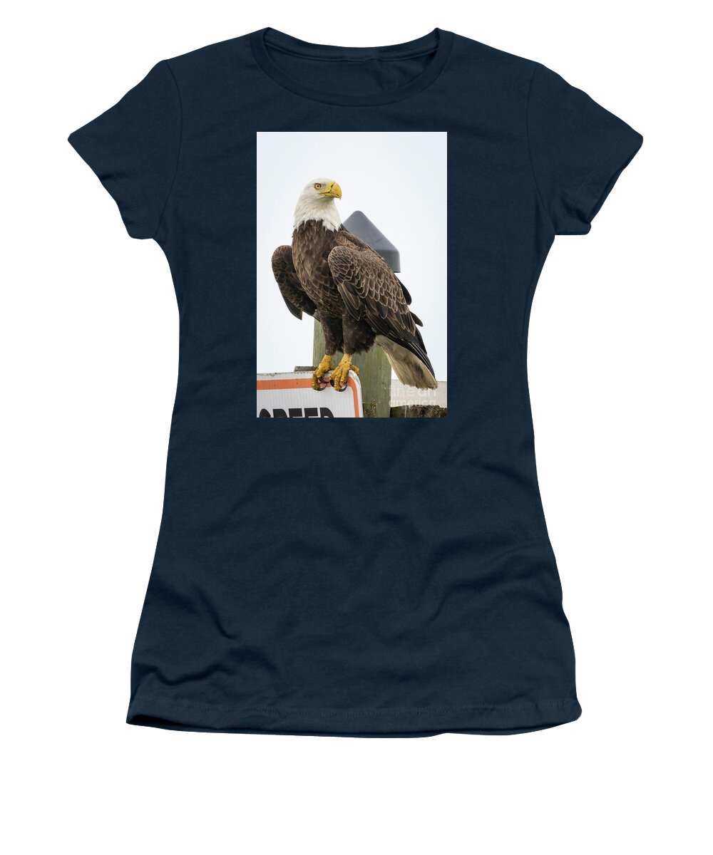Eagle Women's T-Shirt featuring the photograph Eagle Perched on Sign by Tom Claud