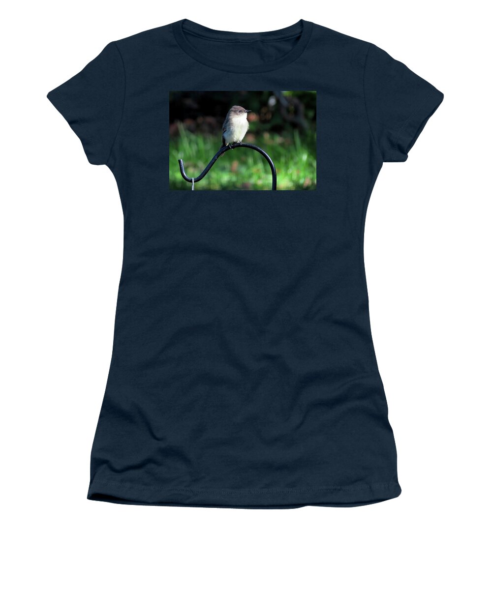 Birds Women's T-Shirt featuring the photograph Eastern Phoebe by Linda Stern