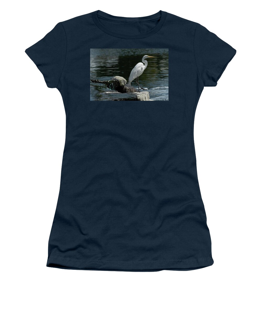 Egret Women's T-Shirt featuring the photograph Egret Stepping Out by Bonnie Colgan