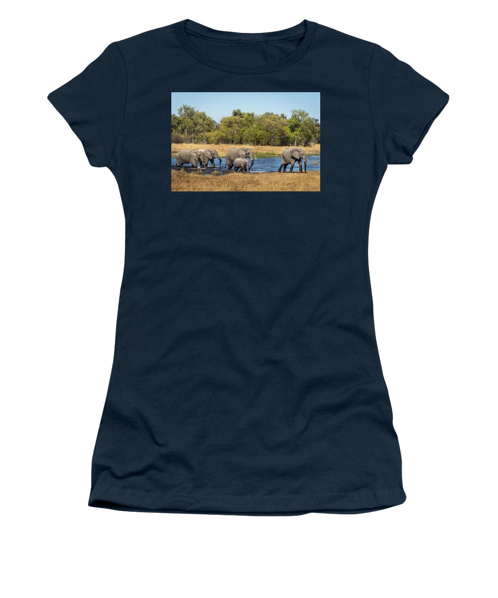 African Elephants Women's T-Shirt featuring the photograph Elephants Crossing the River by Elvira Peretsman