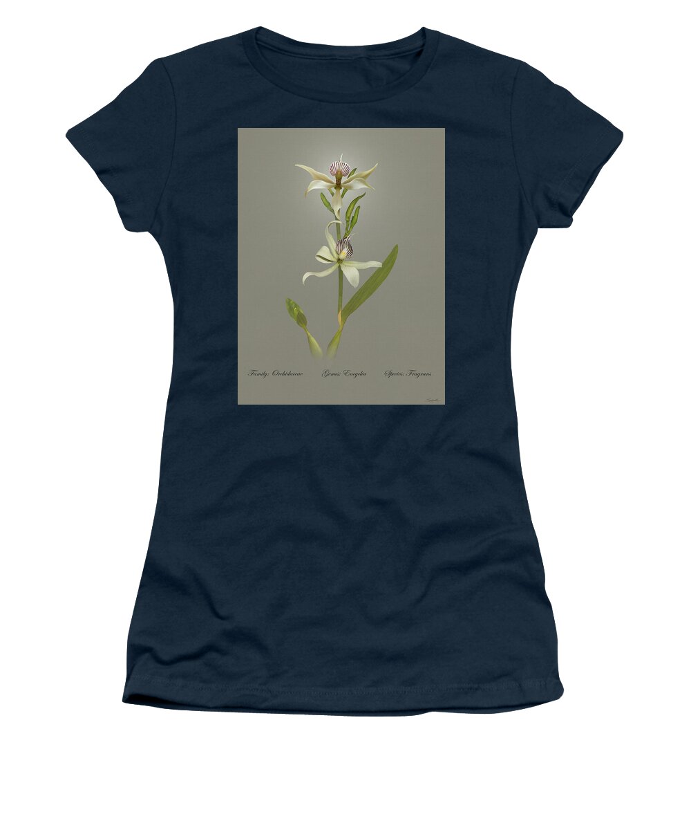 Orchid Women's T-Shirt featuring the digital art Encyclia Fragrans Orchid by M Spadecaller