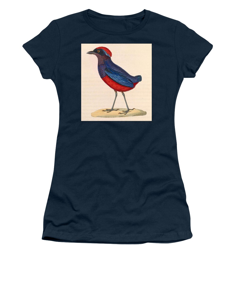 Nicolas Huet The Younger Women's T-Shirt featuring the drawing Erythropitta granatina by Nicolas Huet the Younger