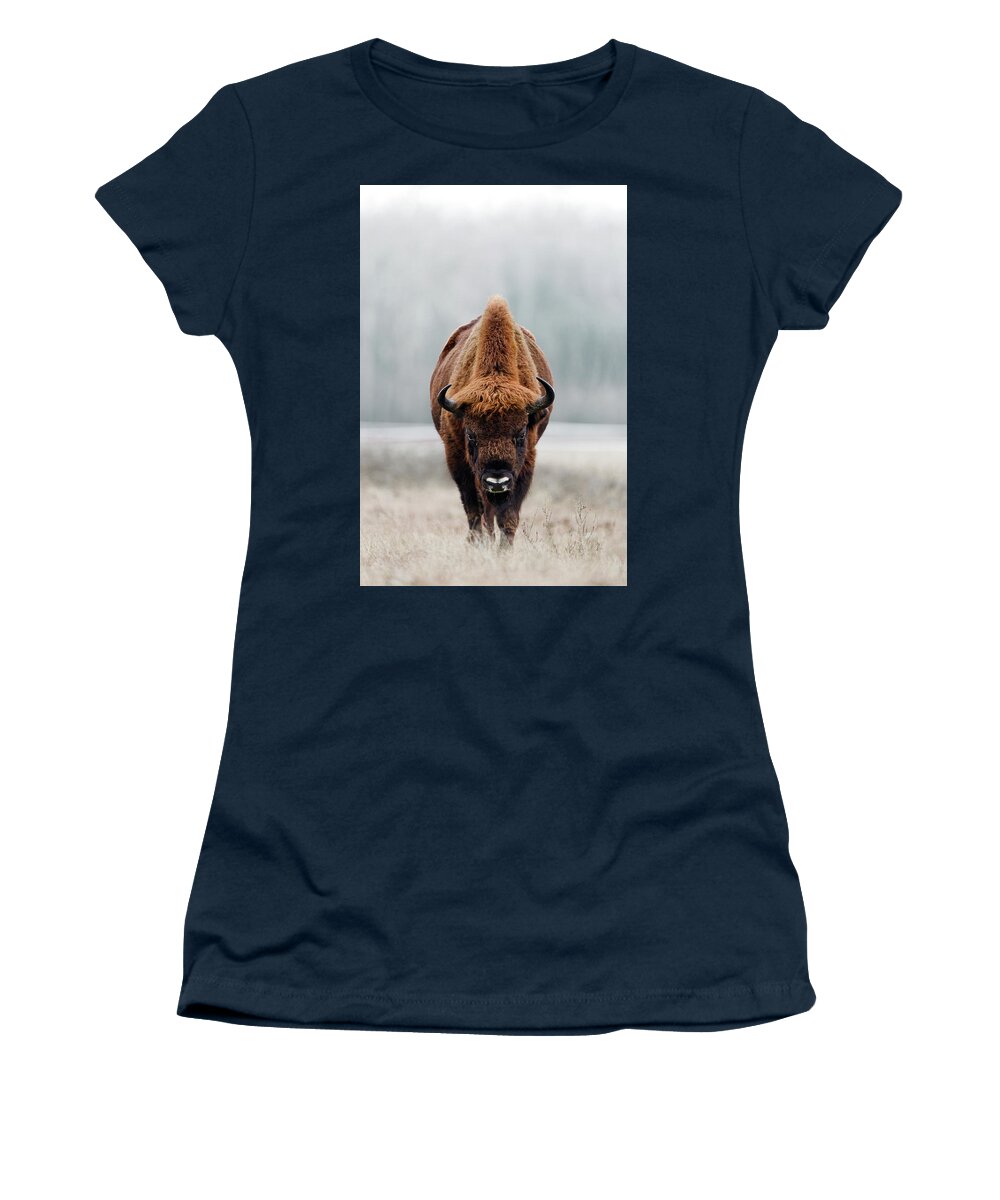European Buffalo Women's T-Shirt featuring the photograph European Bison bull by Patrick Van Os