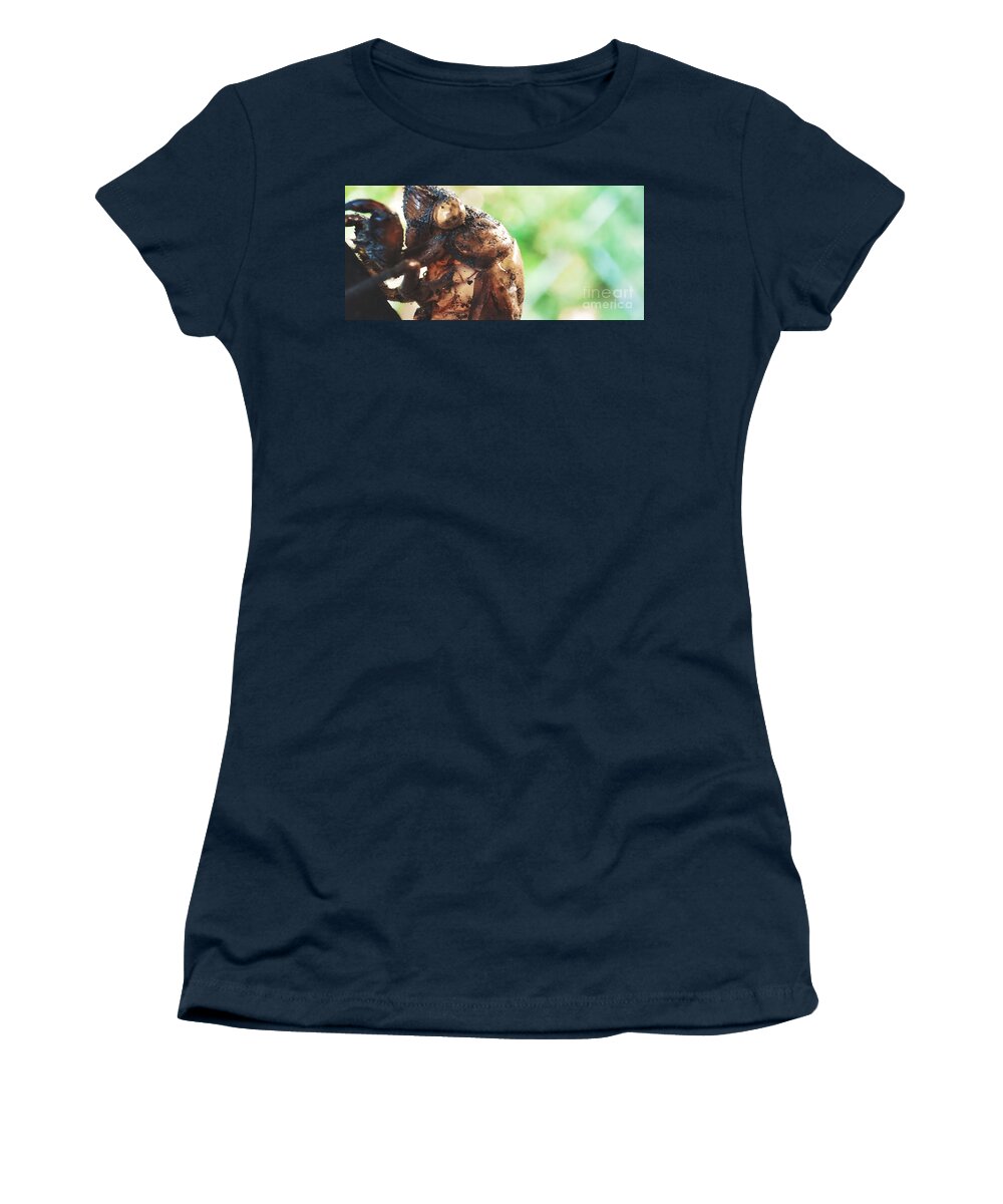 Insect Women's T-Shirt featuring the photograph Exo III by Robert Knight