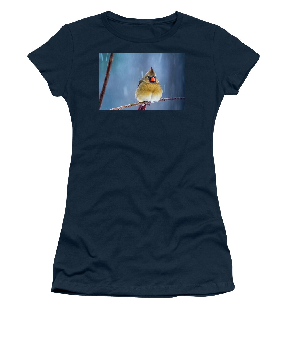 Snow Women's T-Shirt featuring the digital art Female Cardinal in the Snow by Linda Segerson