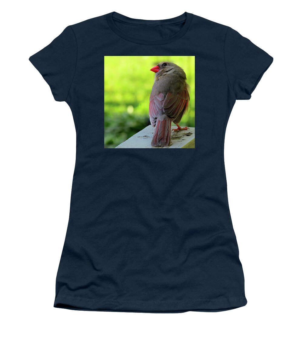 Birds Women's T-Shirt featuring the photograph Female Cardinal Wearing Her Lipstick and Looking for Mr. Right by Linda Stern