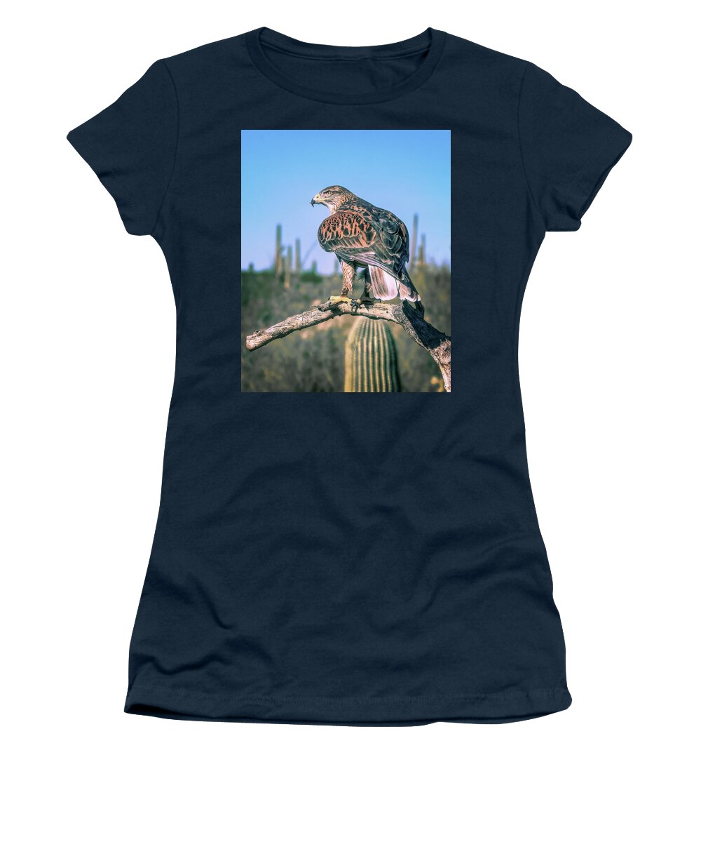 Black Cactus Women's T-Shirt featuring the photograph Ferruginous Hawk by Steve Kelley
