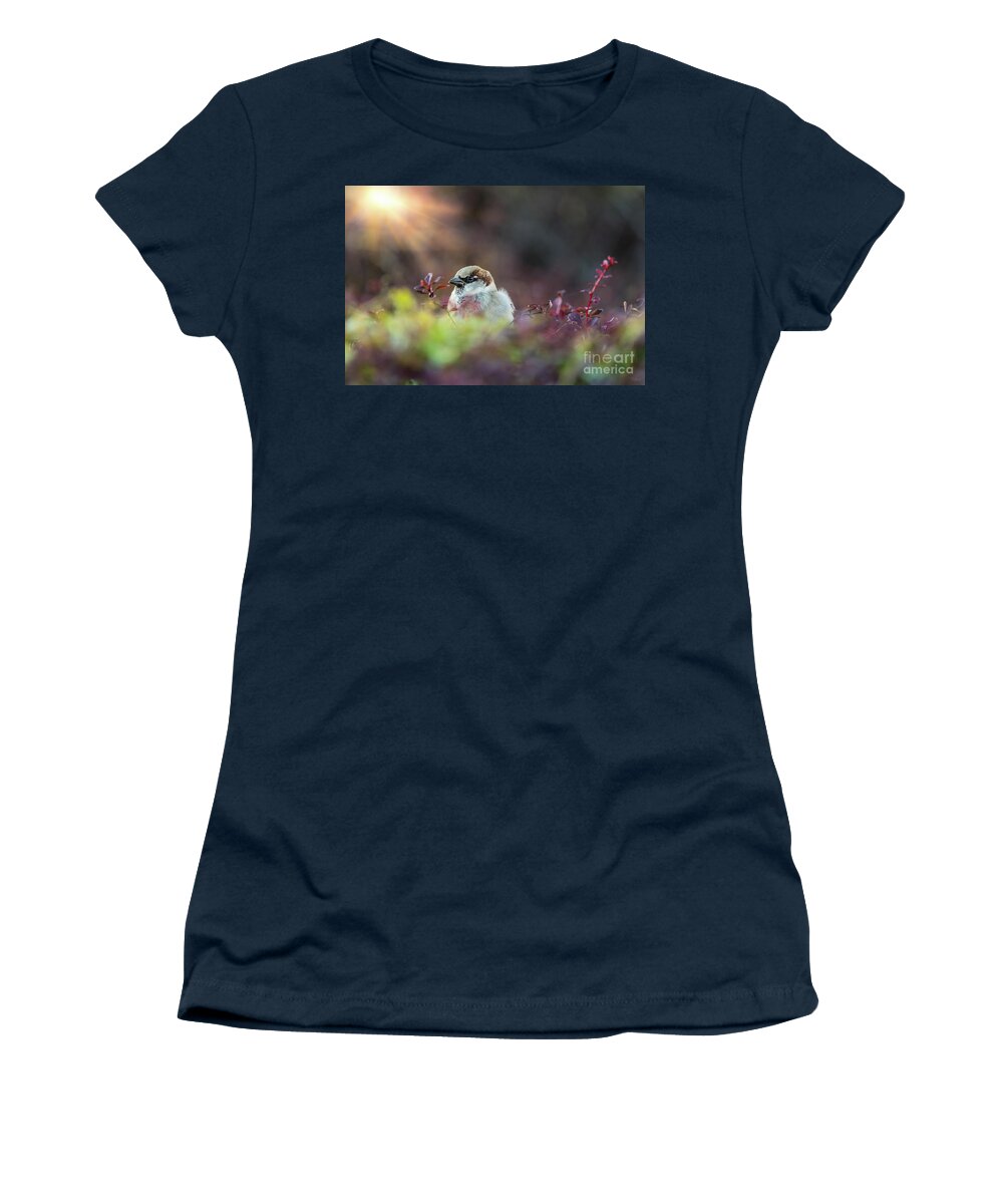 Finch Women's T-Shirt featuring the photograph Finch In The Sunlight by Jennifer White