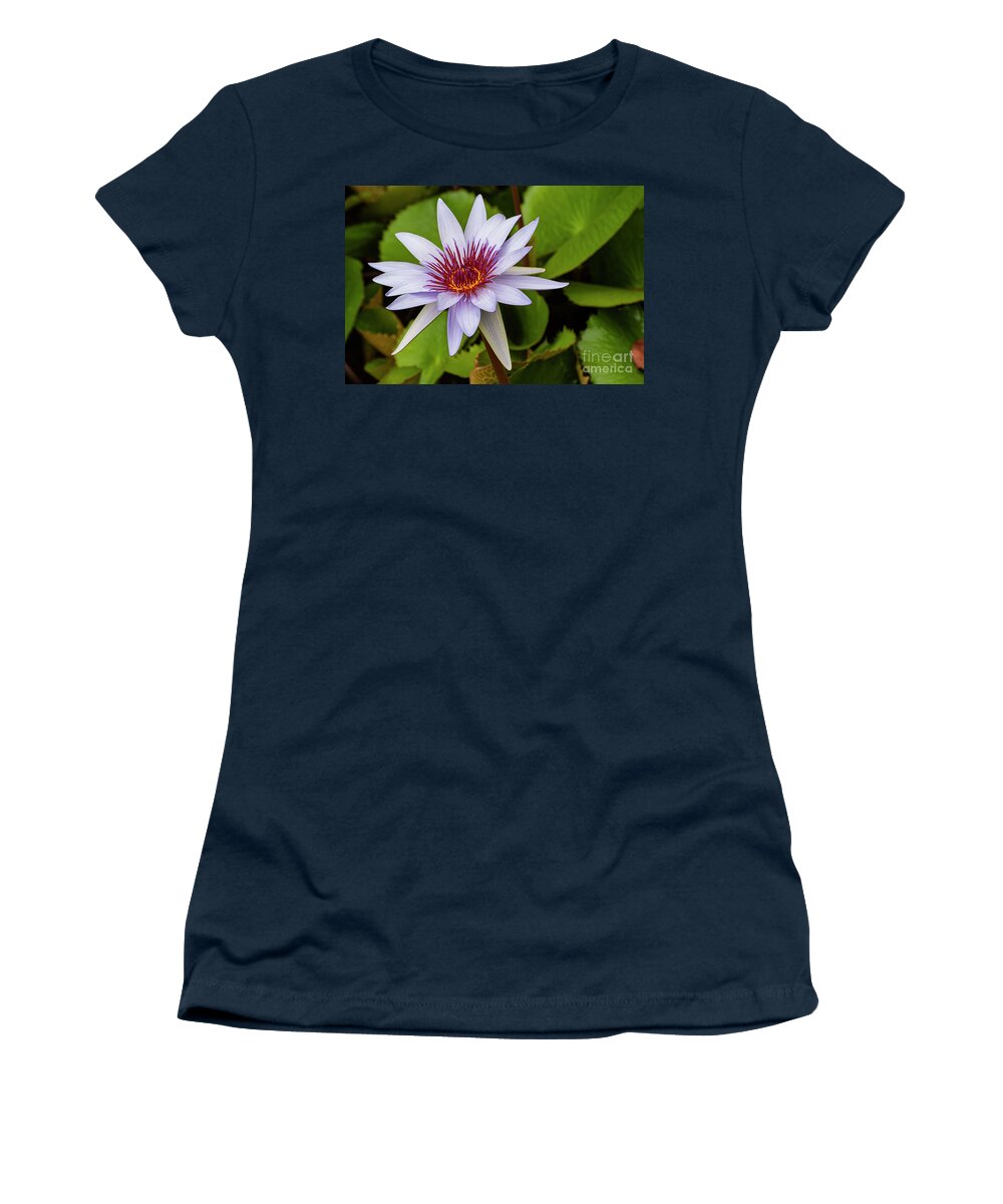 Cape Blue Water Lily Women's T-Shirt featuring the photograph Floating Lily by Bob Phillips
