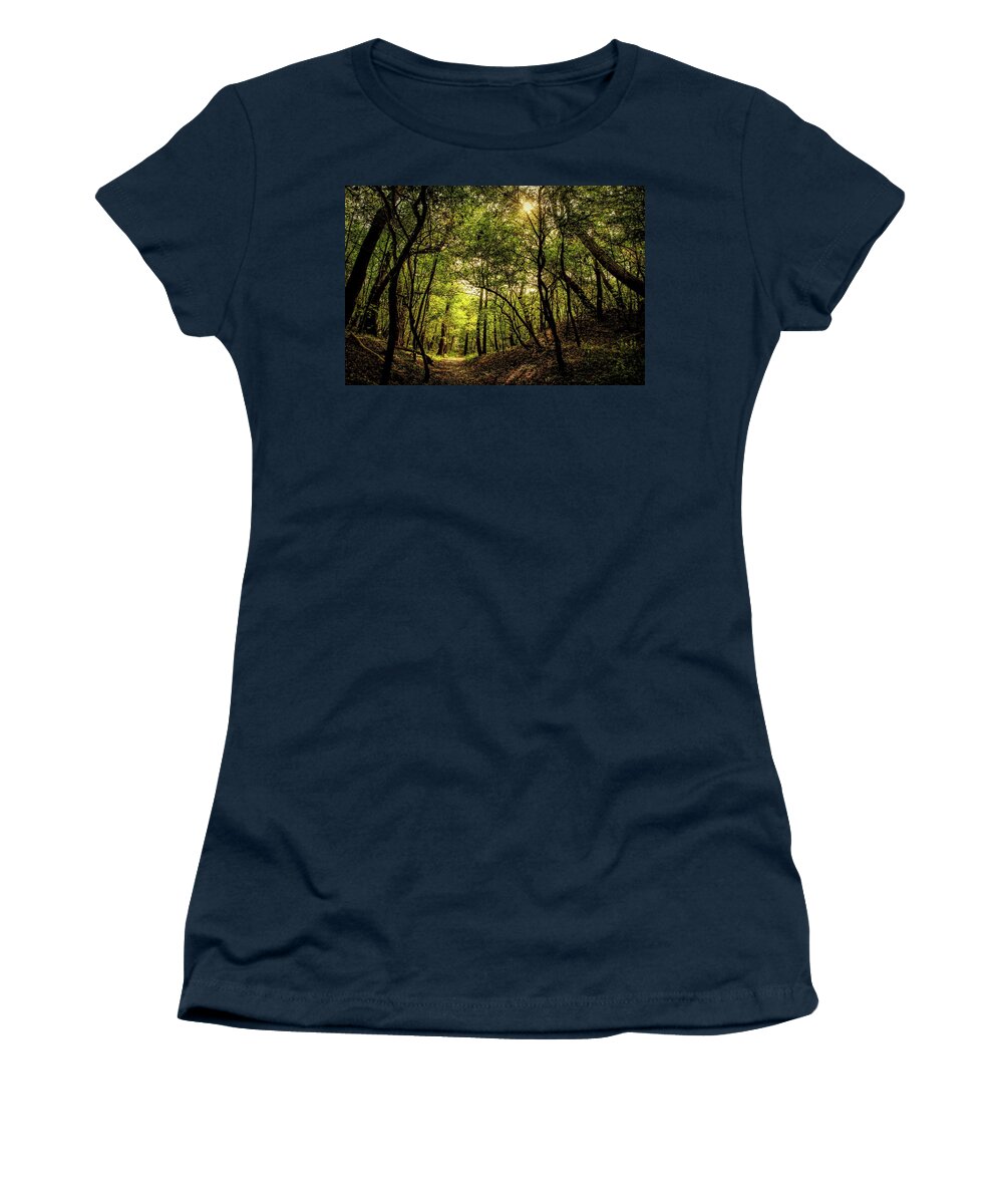 Forest Women's T-Shirt featuring the photograph Forest Landscape In The Morning Sun by Marjolein Van Middelkoop
