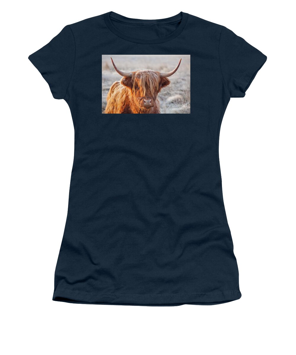 Highland Cow Women's T-Shirt featuring the photograph Frosty highland cow by Neale And Judith Clark