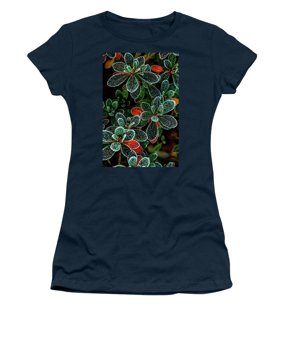 Christmas Women's T-Shirt featuring the photograph Frosty Leaves by Matthew Irvin