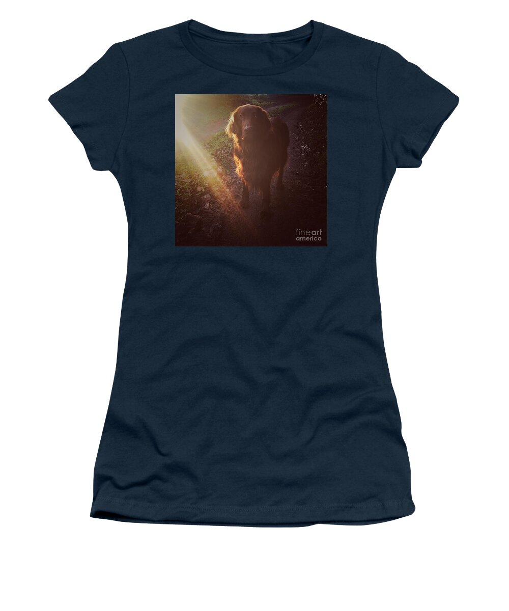 Dog Women's T-Shirt featuring the photograph Going For A Walk by Ang El