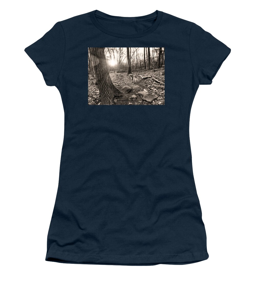 Lake Women's T-Shirt featuring the digital art Golden and Sunset by Russel Considine