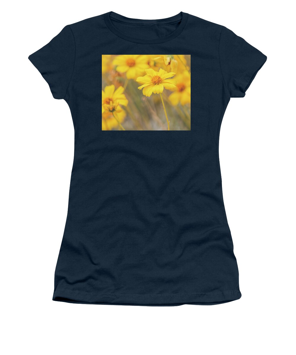 Spring Women's T-Shirt featuring the photograph Golden Brittlebush by Teresa Wilson