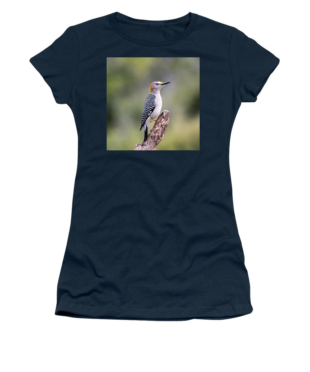Golden-fronted Woodpecker Women's T-Shirt featuring the photograph Golden-Fronted Woodpecker by Cheri Freeman