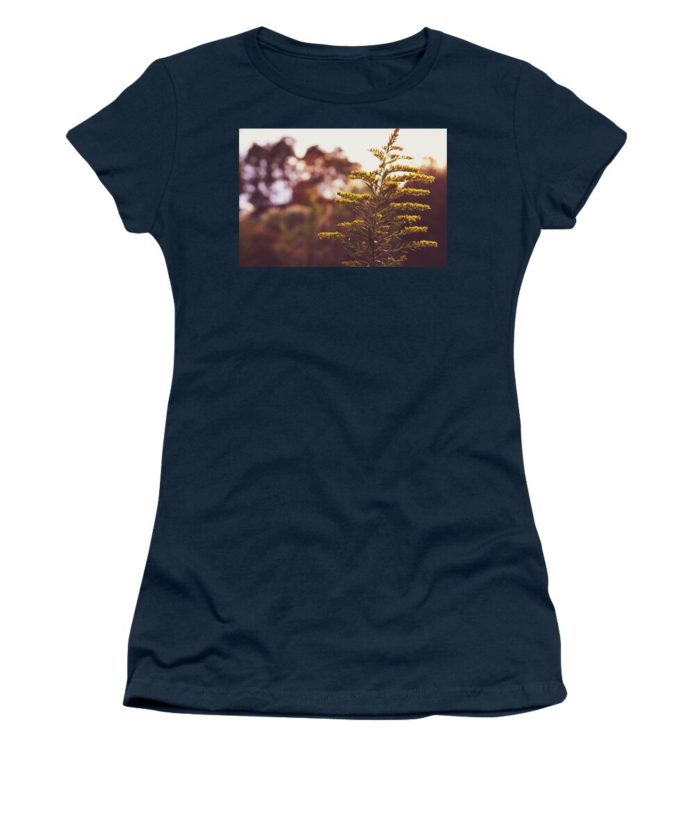 Mountain Women's T-Shirt featuring the photograph Golden Hour Flower by Go and Flow Photos