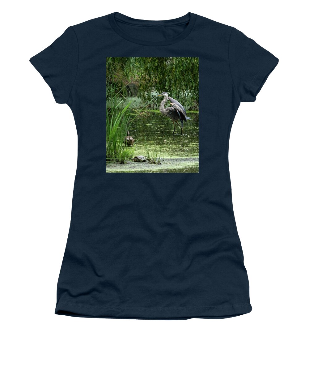 Great Blue Heron Women's T-Shirt featuring the photograph Great Blue Heron by Alyssa Tumale