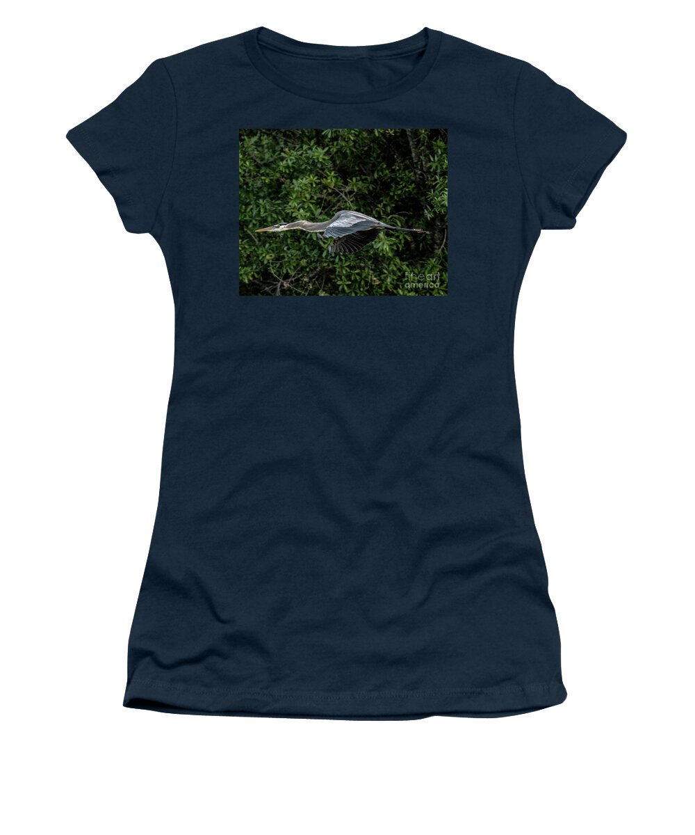 Heron Women's T-Shirt featuring the photograph Great Blue in flight by Rodney Cammauf
