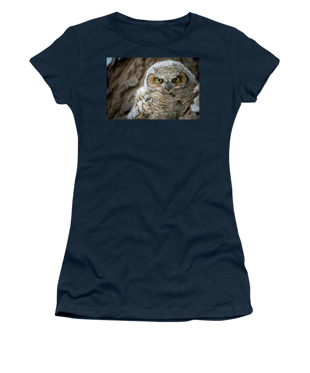 Owl Women's T-Shirt featuring the photograph Great Horned Owlet by Wesley Aston