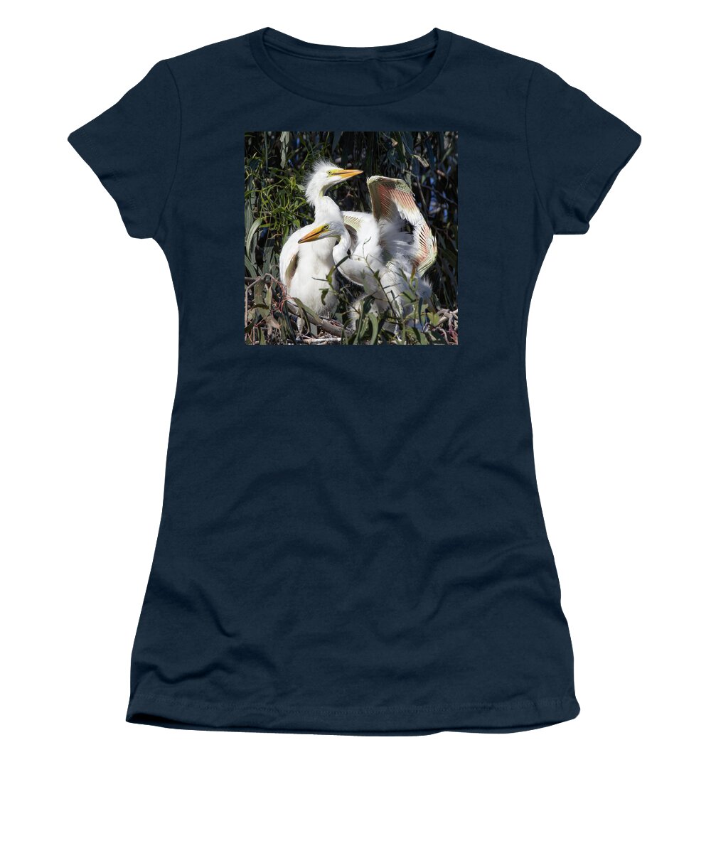 Egret Chicks Women's T-Shirt featuring the photograph Great White Egret Chicks Flapping Wings in Their Nest by Kathleen Bishop
