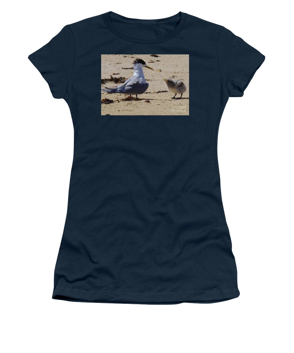 Greater Crested Tern Women's T-Shirt featuring the photograph Greater Crested Tern With Chick by Lesley Evered