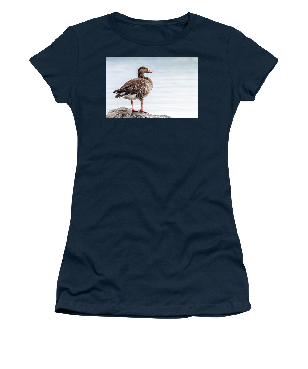 Greylag Women's T-Shirt featuring the photograph Greylag goose, Anser Anser, standing on a rock by Elenarts - Elena Duvernay photo