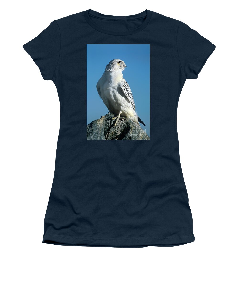 Dave Welling Women's T-Shirt featuring the photograph Gyrfalcon Falco Rusticolis Portrait by Dave Welling