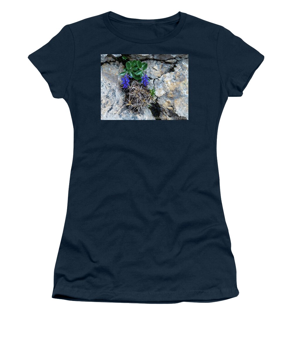 Rock Women's T-Shirt featuring the photograph Hanging on by Leslie Struxness