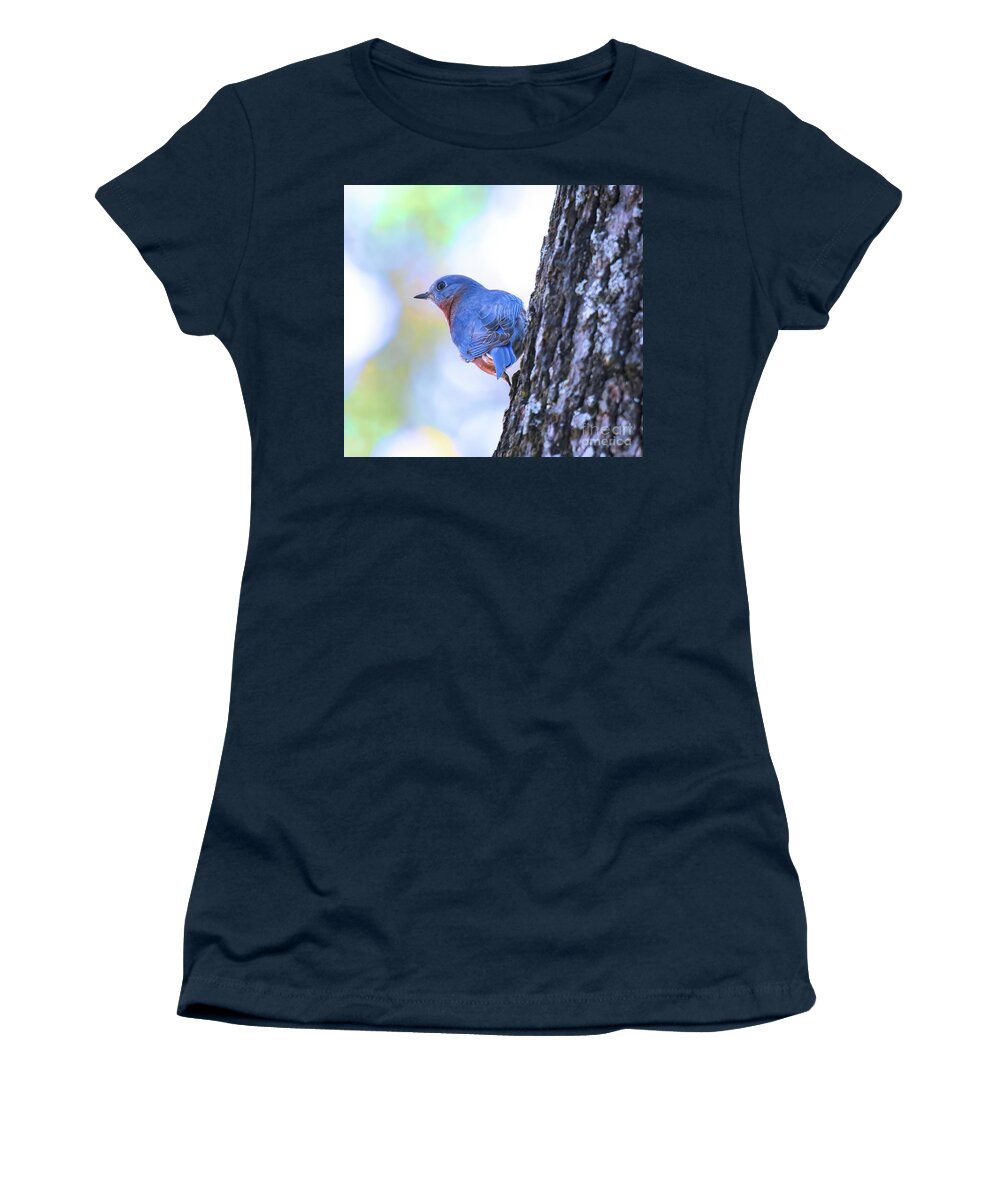 Male Eastern Bluebird Women's T-Shirt featuring the photograph He Wears It Well - Bluebird by Kerri Farley